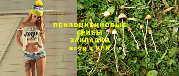 СК Абаза